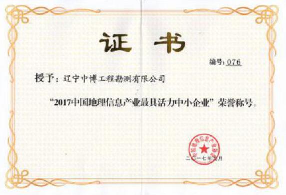 2017中國地理信息產業最具活力中小企業